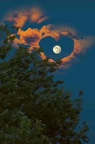 صورة رفعها 🧠...Sarah...🫀