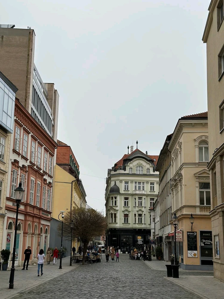 Image uploaded by Kareem