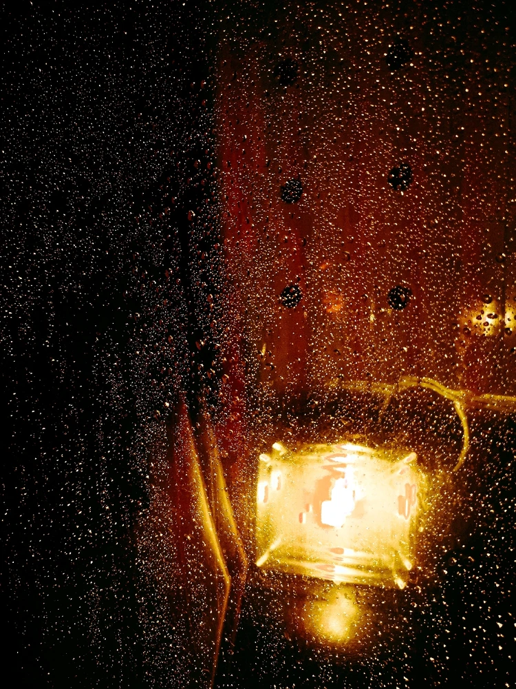 Фото загрузил Степан