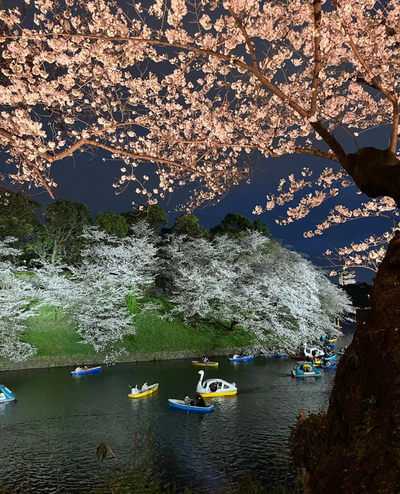 Image ajoutée par Tsubasa