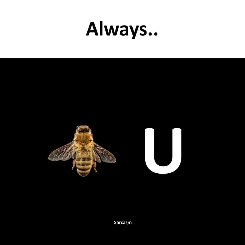 Image uploaded by Rakesh