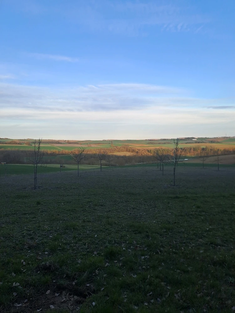 Bild hochgeladen von Leon