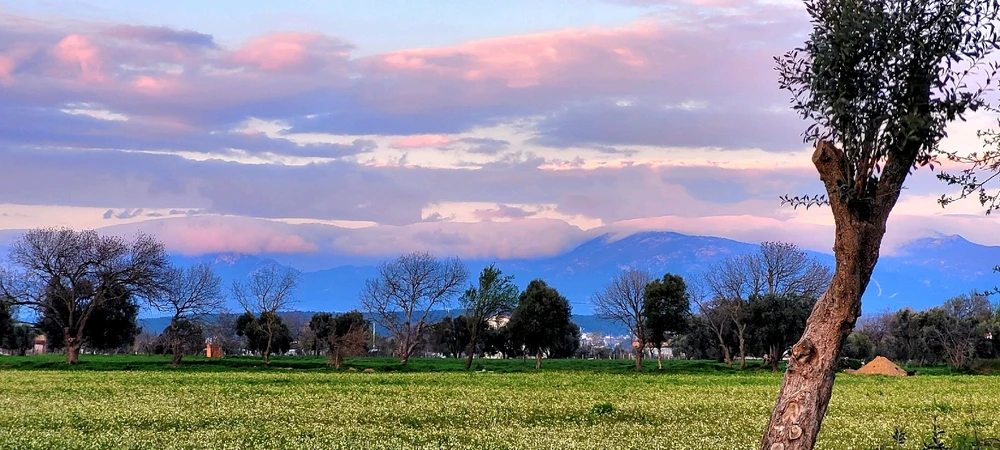 Image uploaded by Can