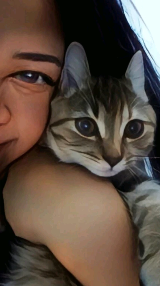 Image uploaded by ꨄ𝐃ꨄ