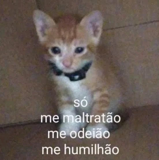 Imagem enviada por Paulo Ravel