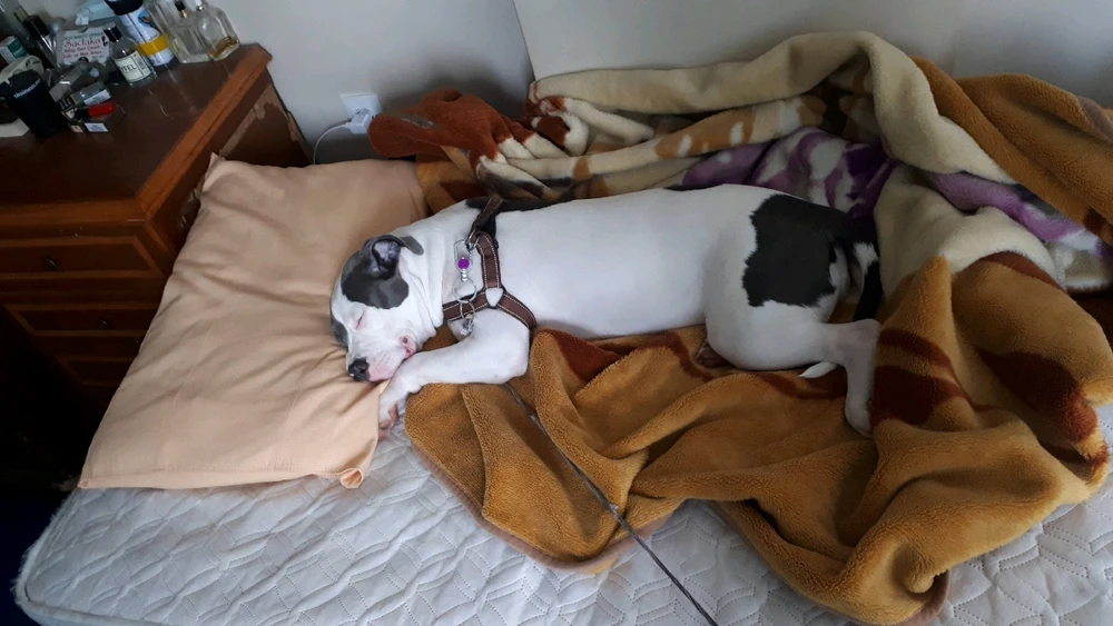 Fatih Talha tarafından yüklenen görsel