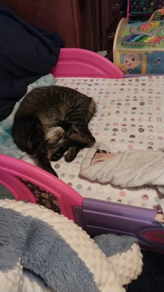 Image uploaded by Troy