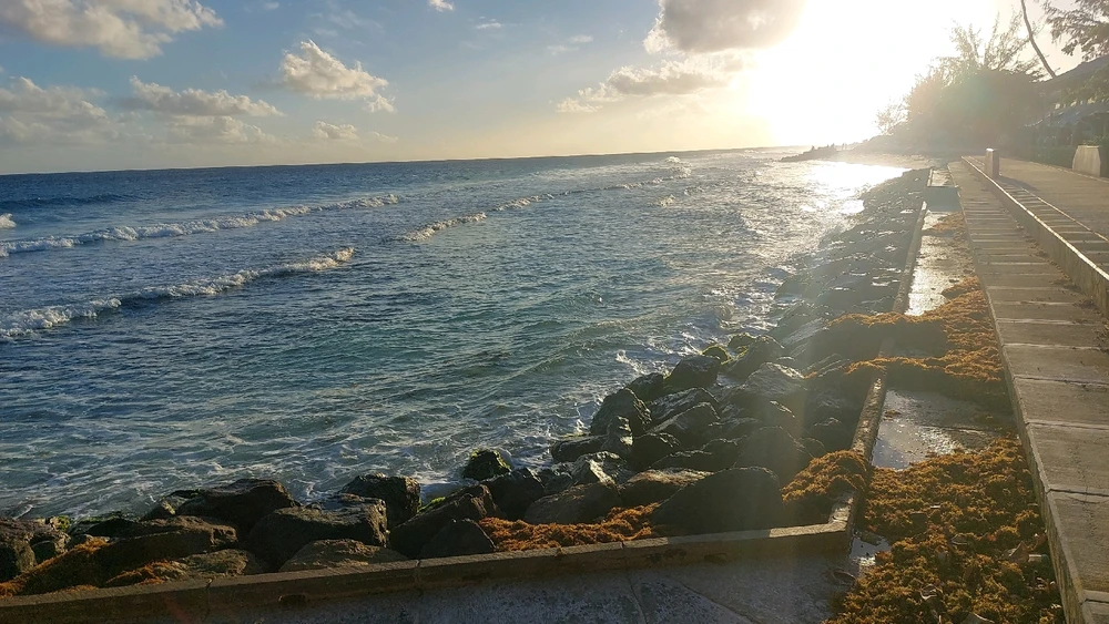 Image uploaded by J Slicc