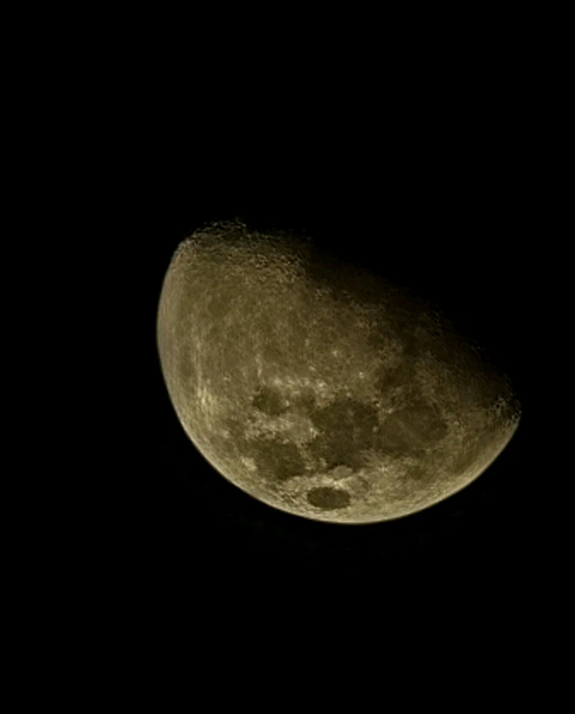 Image uploaded by Pietro