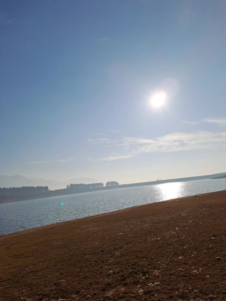 Sunny morning at the lake 😍