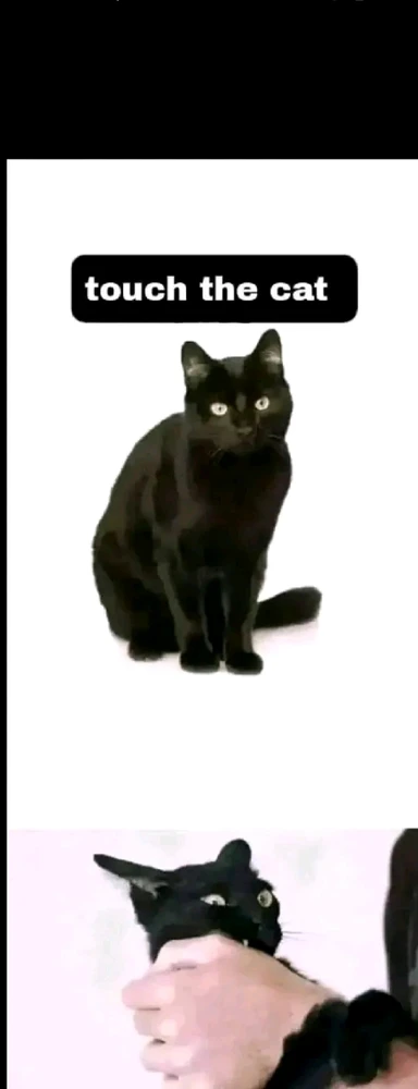 Image uploaded by Dragoness