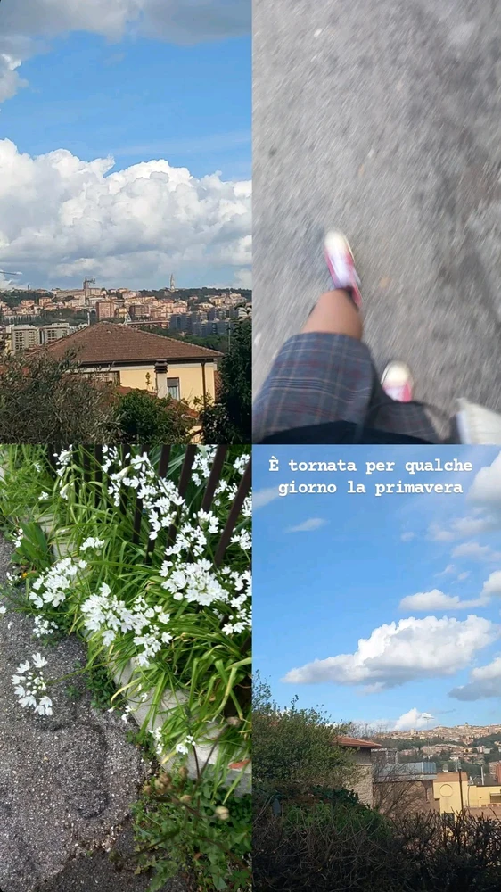 Immagine caricata da Giulia