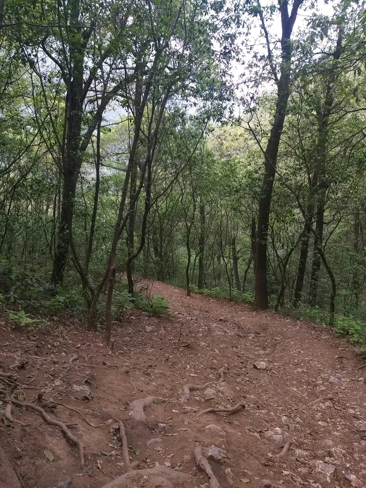 Imagen subida por Francisco