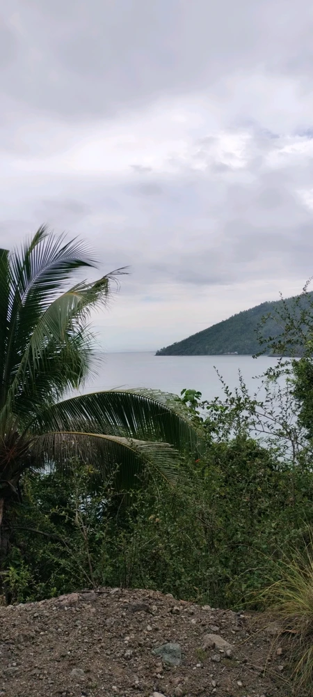 I need a man whose patients and kind☺