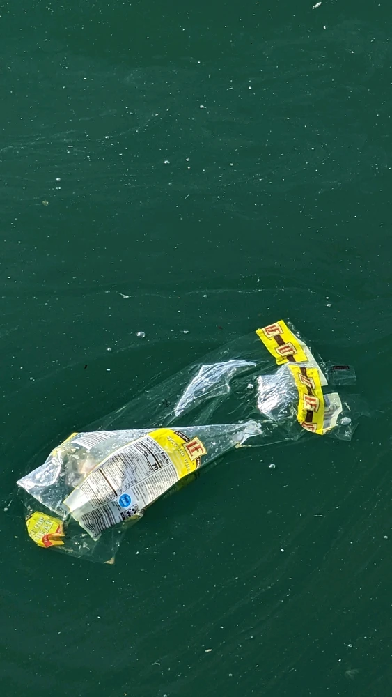 Plastic bag floating in water 😵‍💫😅