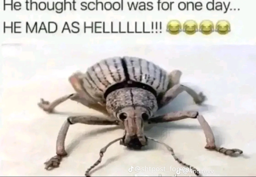 Zdjęcie dodane przez Mikołaj