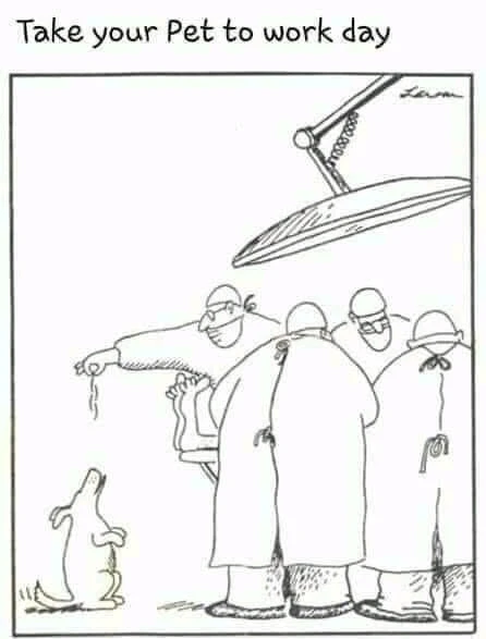 Image uploaded by Vishnu sk