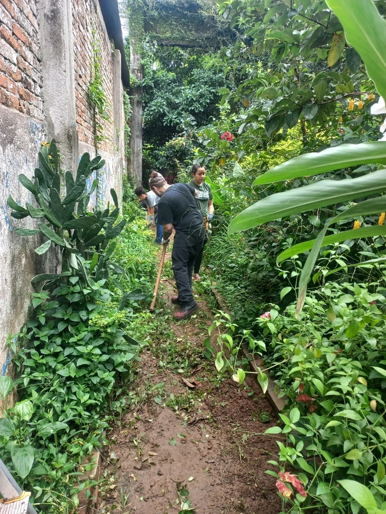 Image uploaded by Felipe
