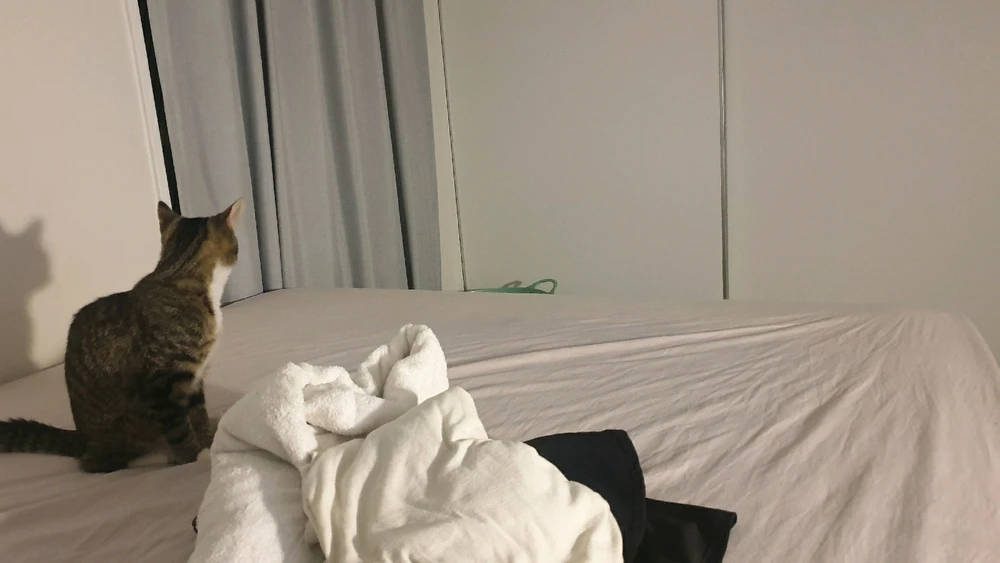 SSSSiAAAA😀上傳的圖片