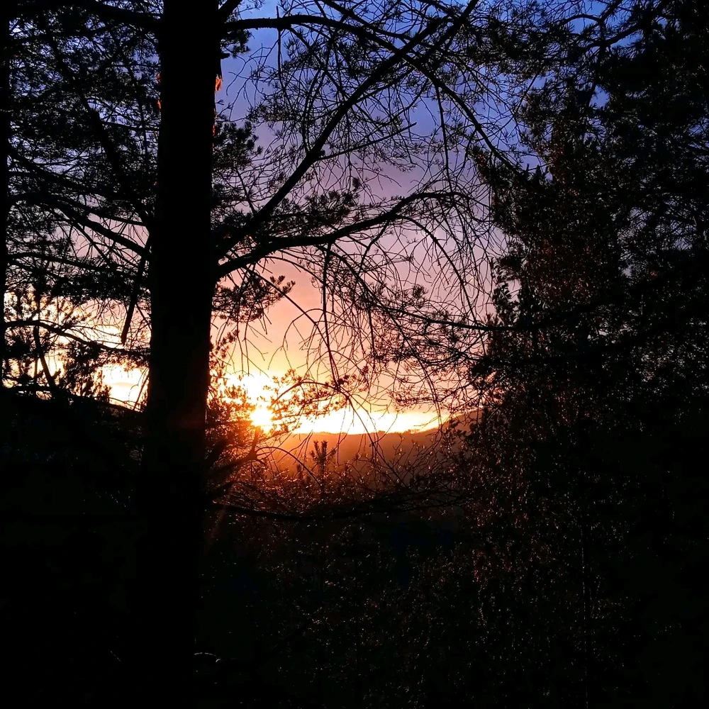 Image uploaded by Denis