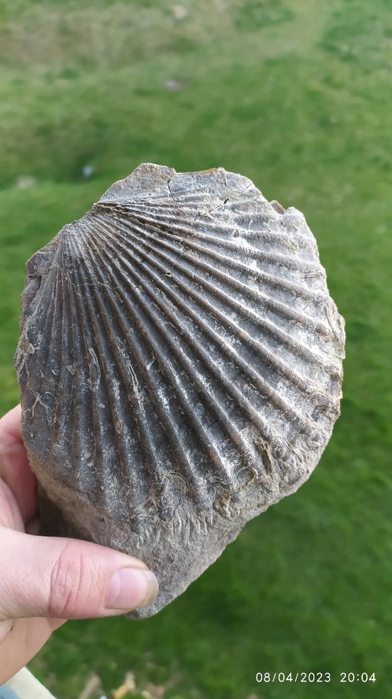 Image ajoutée par Masterwood