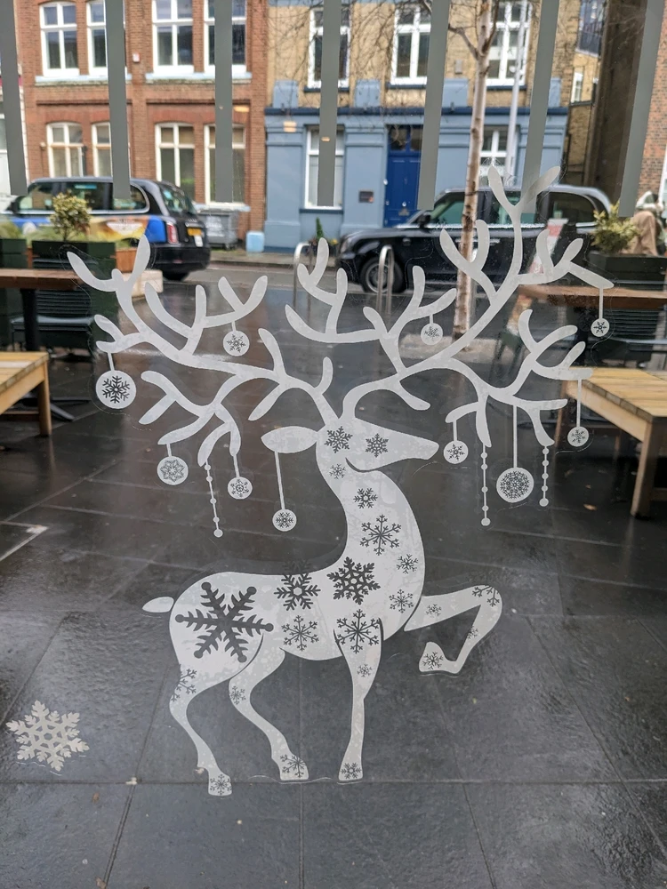 Image uploaded by Sarah