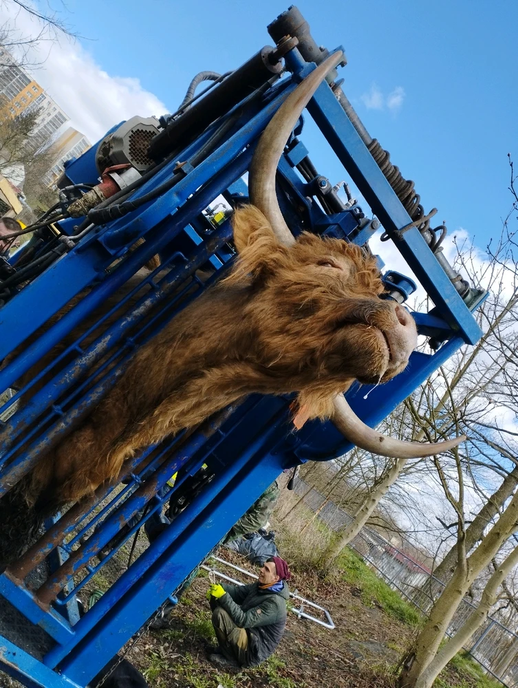 Image uploaded by Tereza