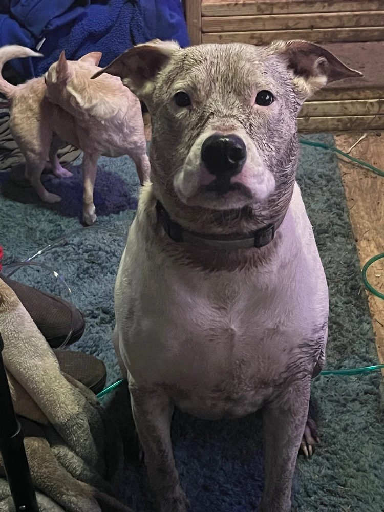 Image uploaded by Mia