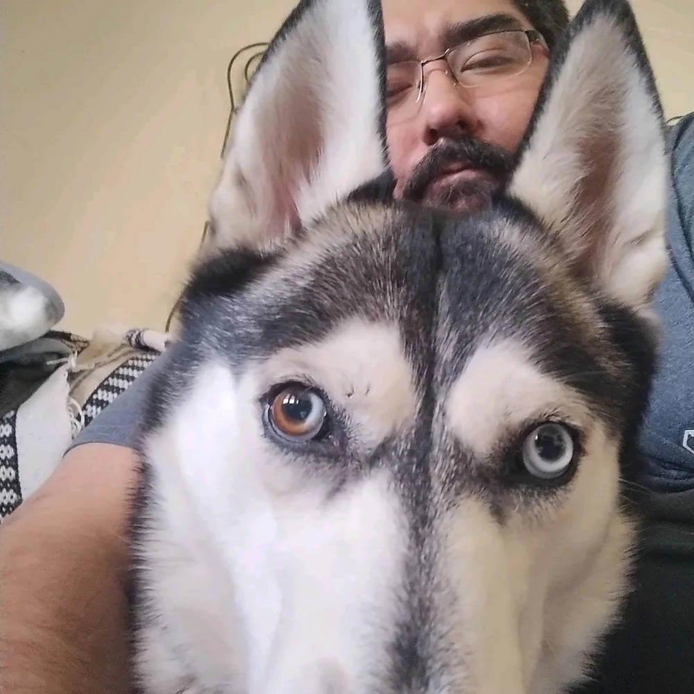 Image uploaded by Alex