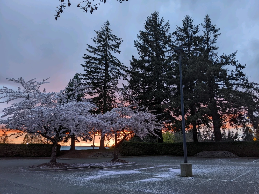 Wilsonville, Spring '22.