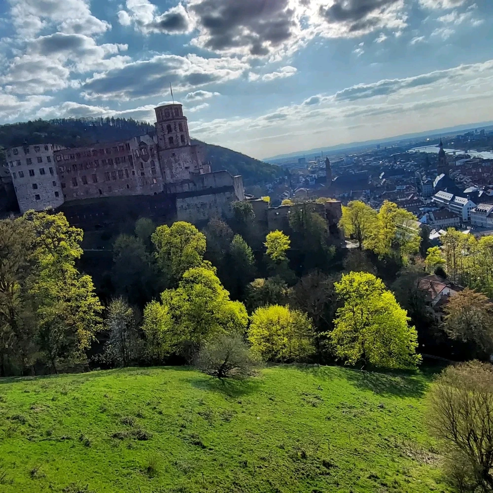 Image uploaded by Barış