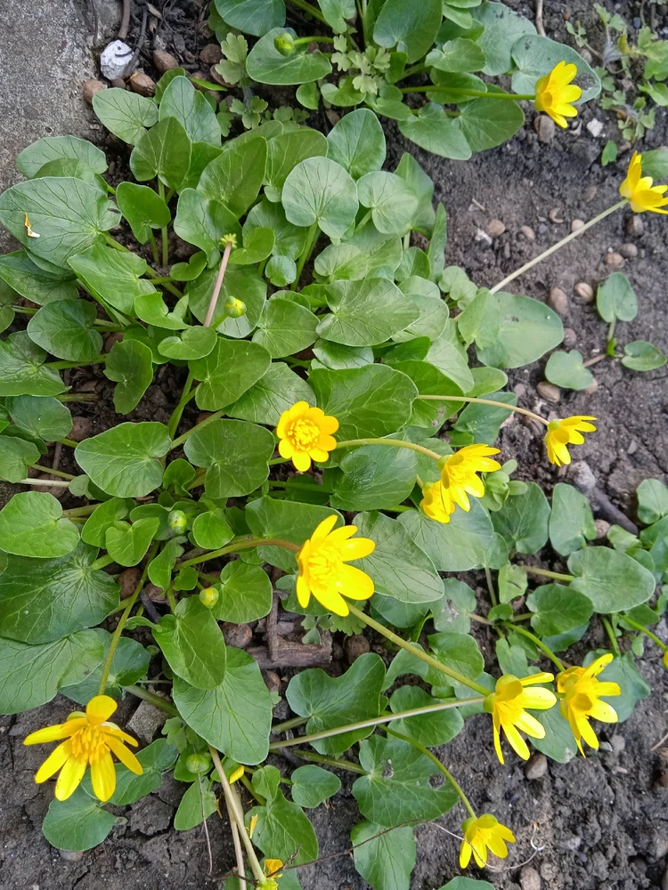 Image uploaded by Marius