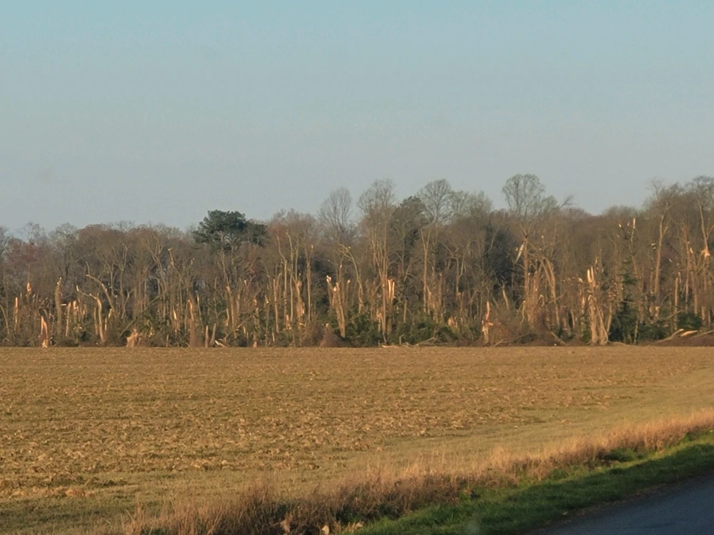 Image uploaded by James Carter