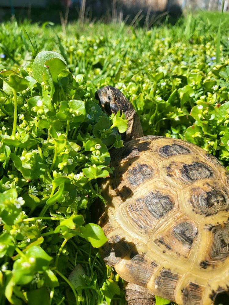 Image uploaded by Sierra