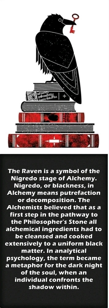 Image uploaded by Ryn