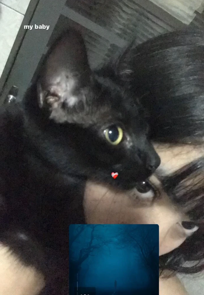 Image uploaded by brina