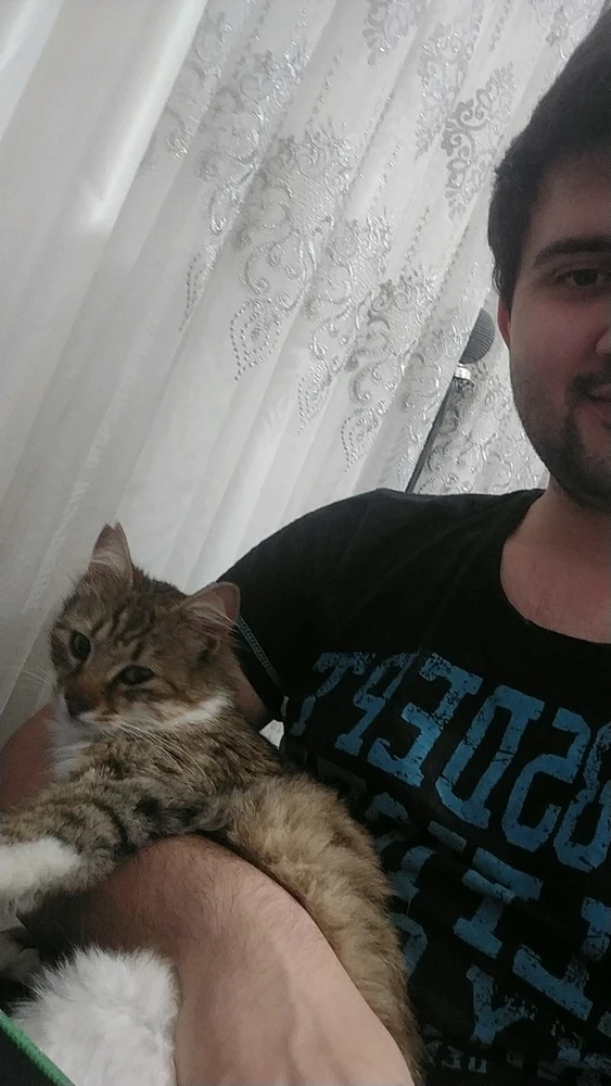 I adopted a cat first time im so excited