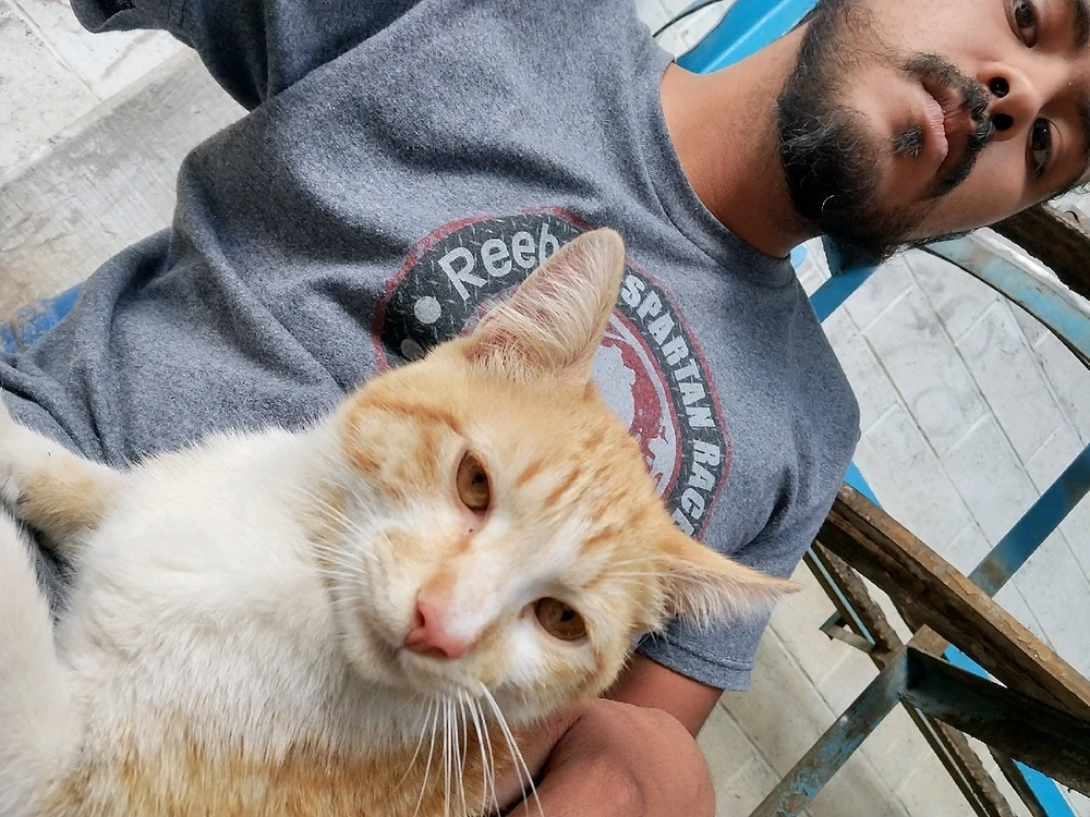 Image uploaded by Fer