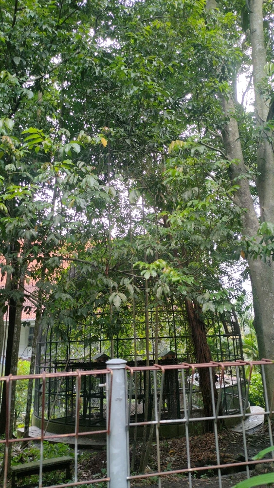 Gambar diunggah oleh ell.