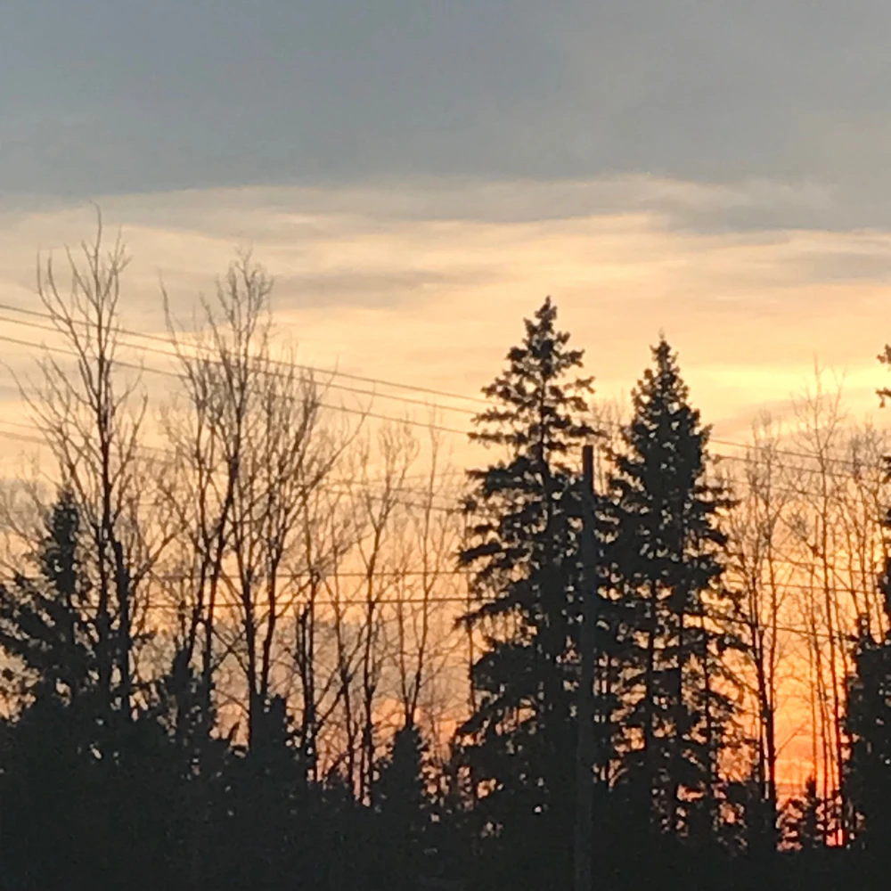 Image uploaded by Maddie