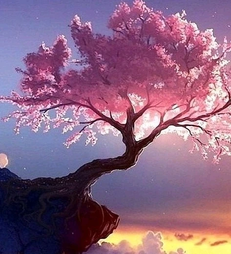 YELLKYAW တင်ထားသော ပုံ