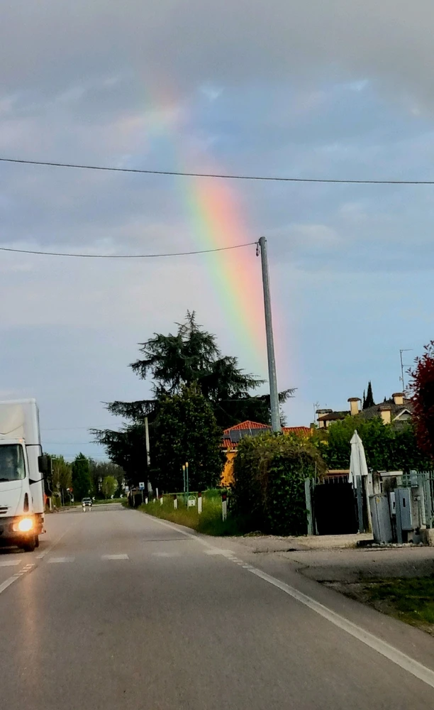 Image uploaded by Giovanni