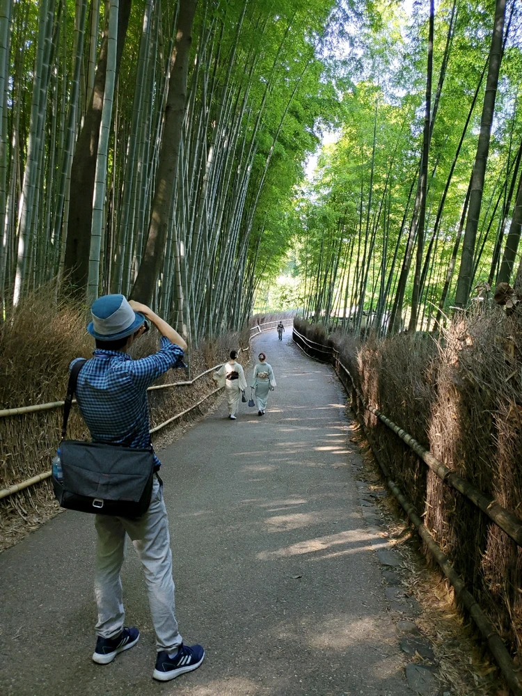 Bamboo forest in Kyoto, Japan with Kimono ladies 