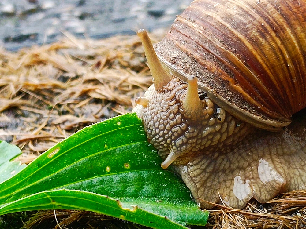 Bild hochgeladen von Kevin