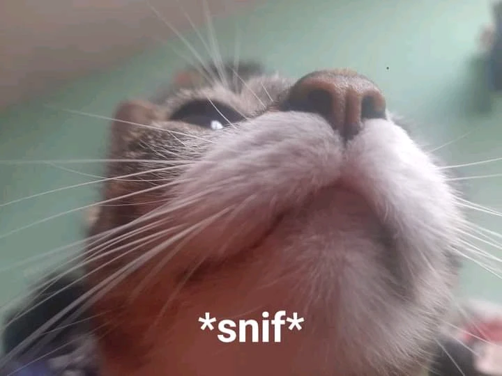 Image uploaded by Matthews