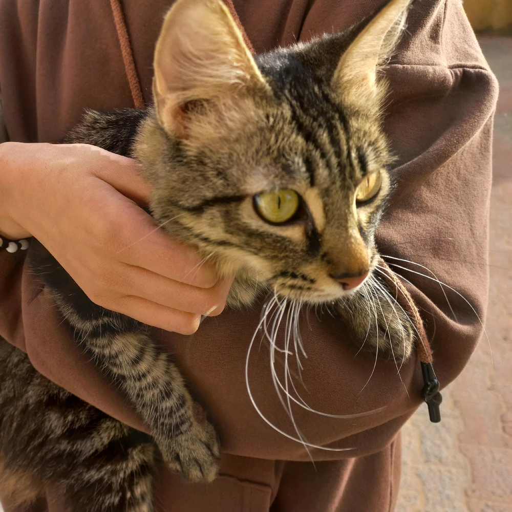 Ekhlasseがアップロードした画像