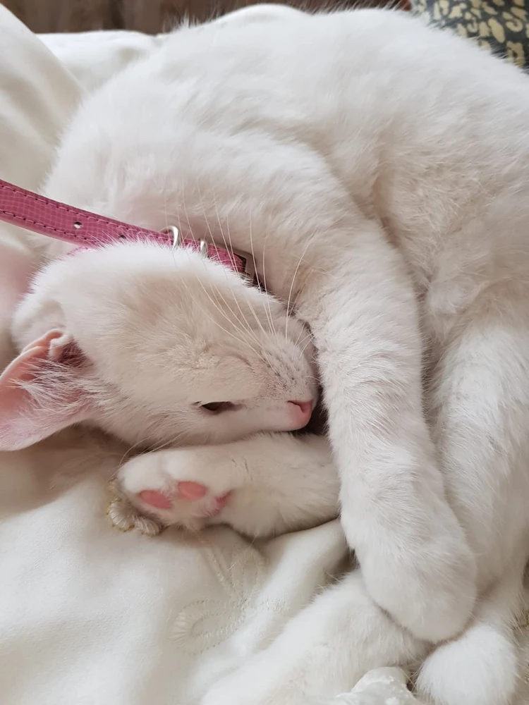 Image uploaded by April