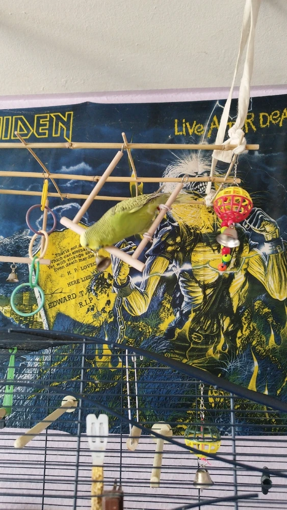 Bild hochgeladen von Lee