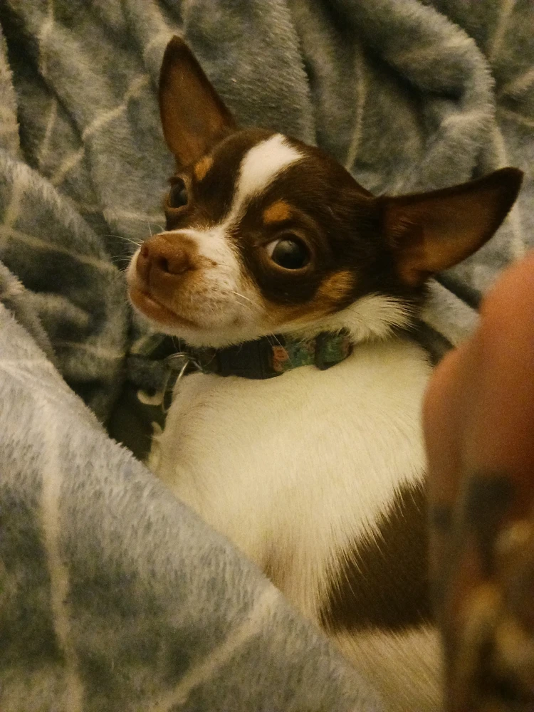 Image uploaded by Brian