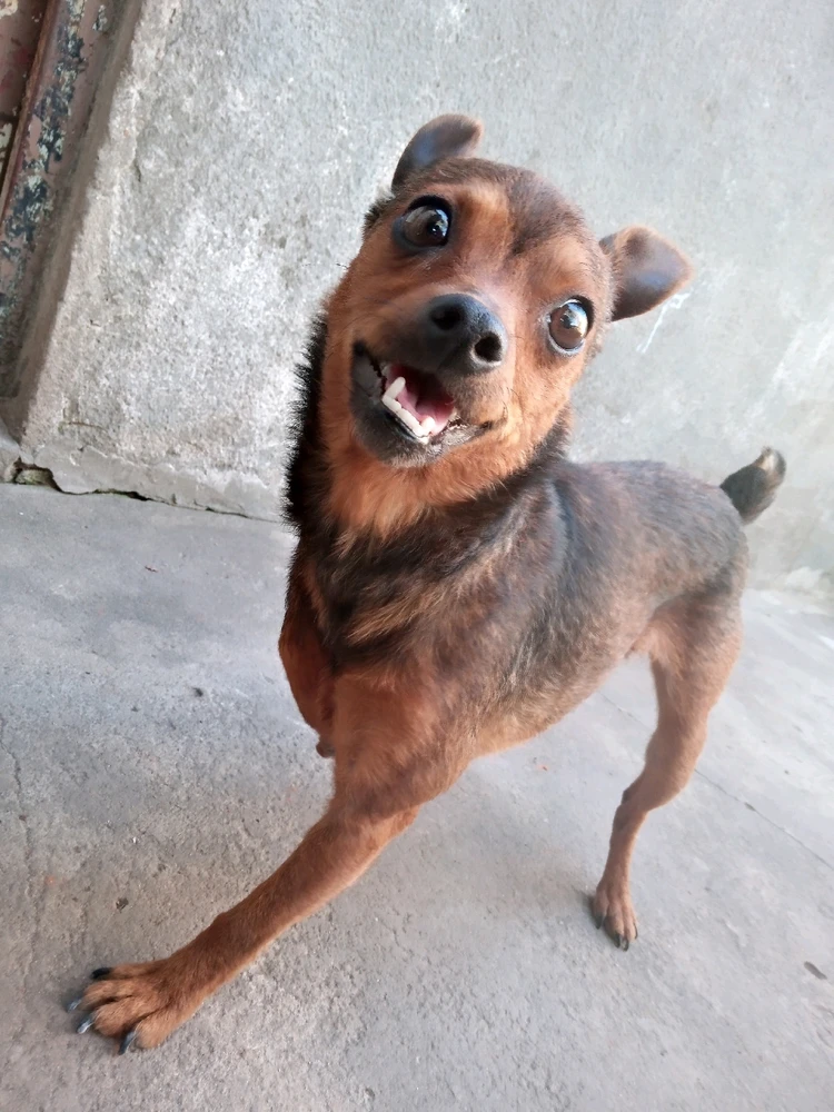 Imagen subida por Gabriela